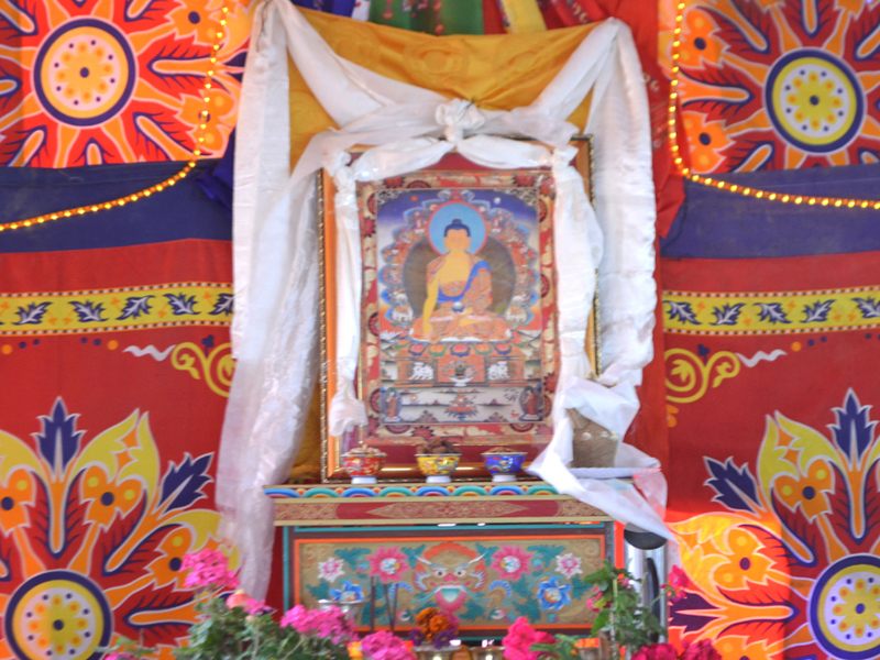 Beda image 2