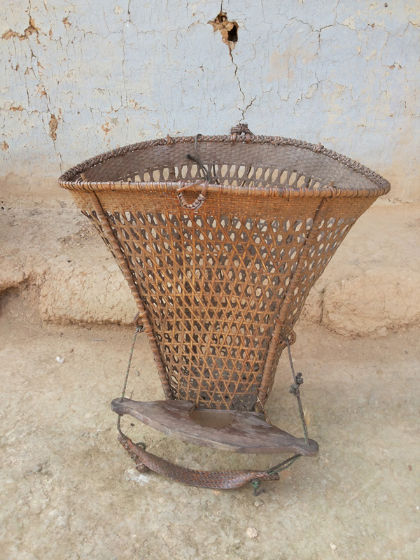 Chiru image 7