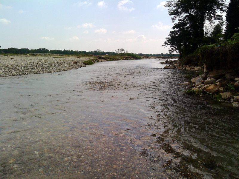 Dhimal image 4