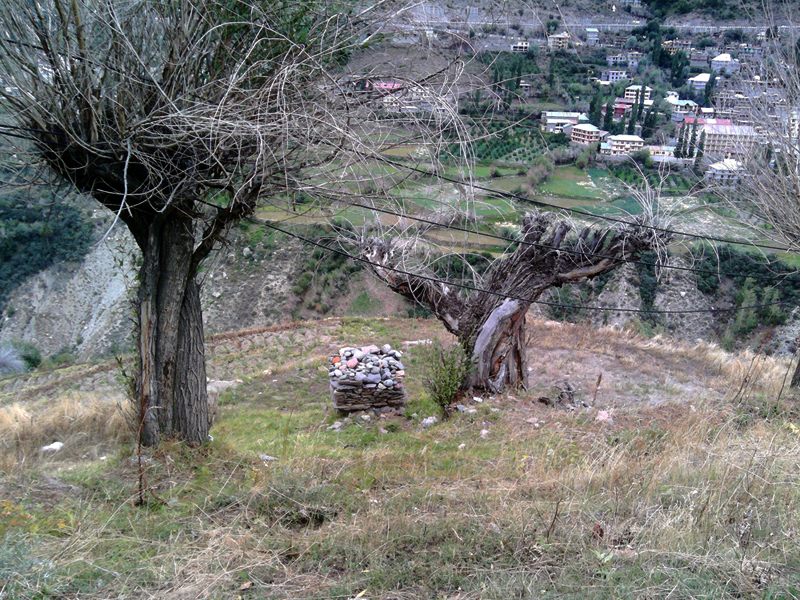 Gahri image 2