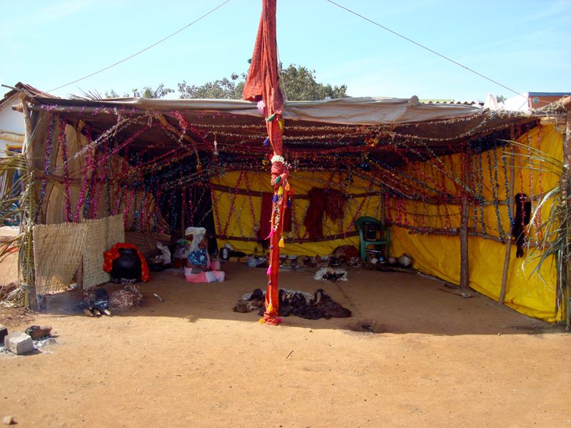 Hakkipikki image 5