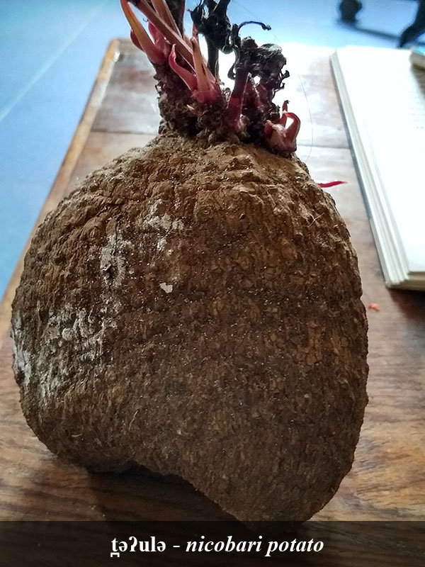 Lurö image 5