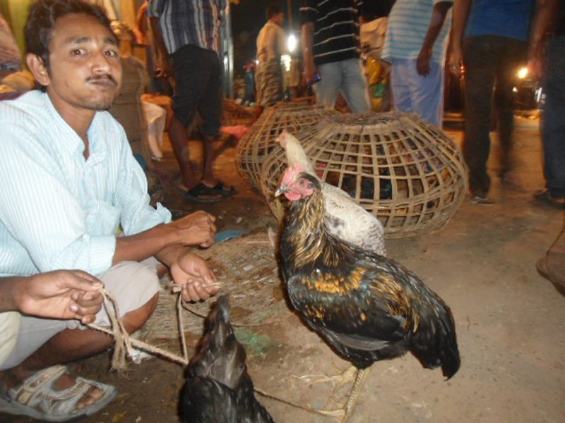 Ranglong image 5